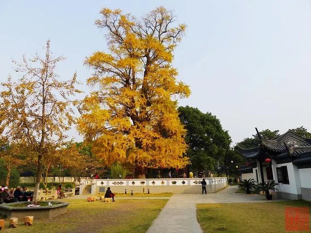 谁能介绍一下常熟梅李的聚沙塔？