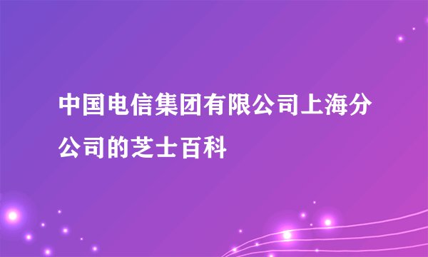 中国电信集团有限公司上海分公司的芝士百科