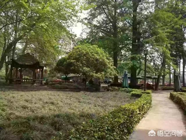 都江堰青城山周边一日游，该怎么安排？