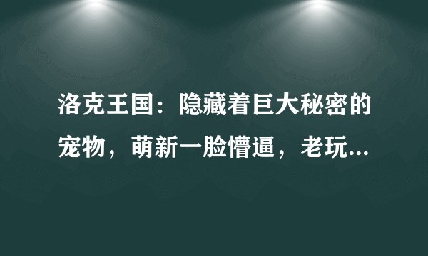 洛克王国：隐藏着巨大秘密的宠物，萌新一脸懵逼，老玩家一看秒懂