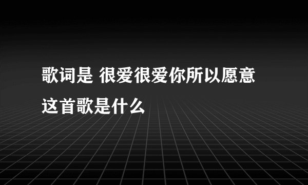 歌词是 很爱很爱你所以愿意 这首歌是什么