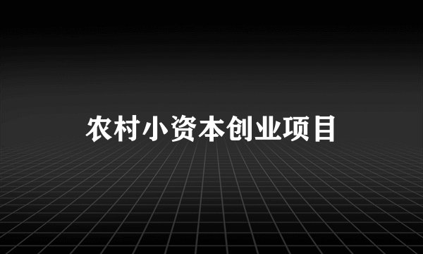 农村小资本创业项目