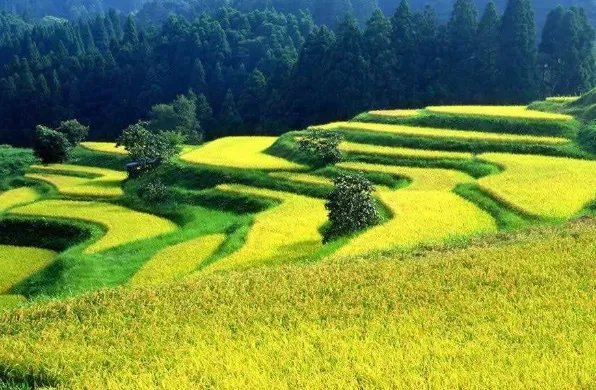 农业经济管理类包括哪些专业？