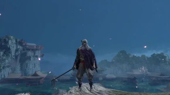 《只狼：影逝二度》孤影众种类介绍