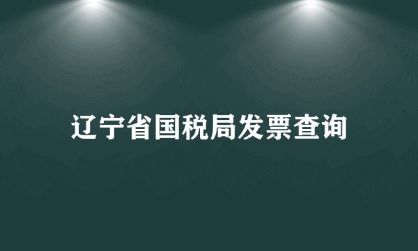 辽宁省国税局发票查询