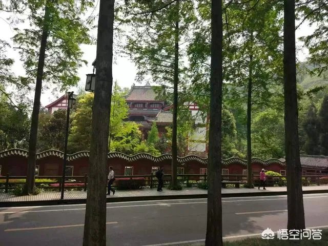 都江堰青城山周边一日游，该怎么安排？