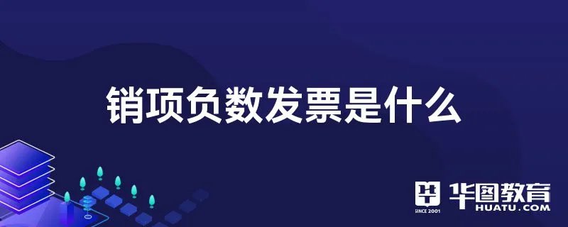 销项负数发票是什么