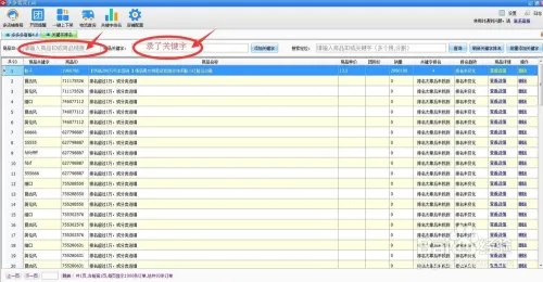 关键词排名查询