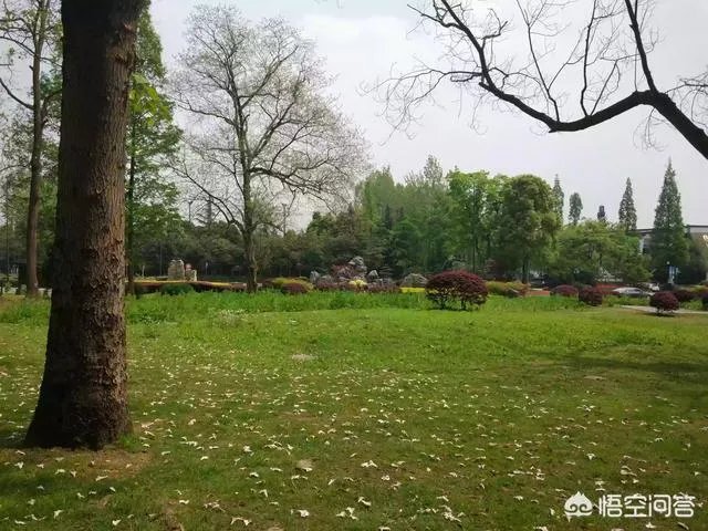 都江堰青城山周边一日游，该怎么安排？