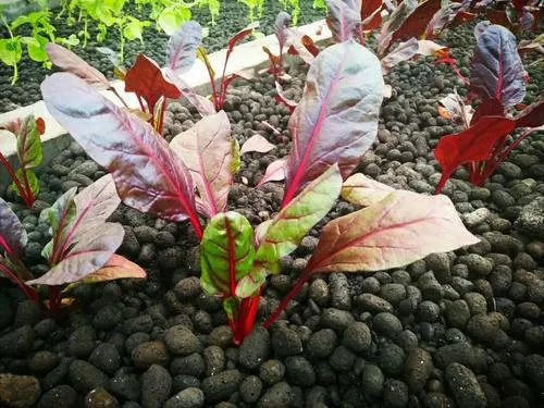 一立方陶粒多重