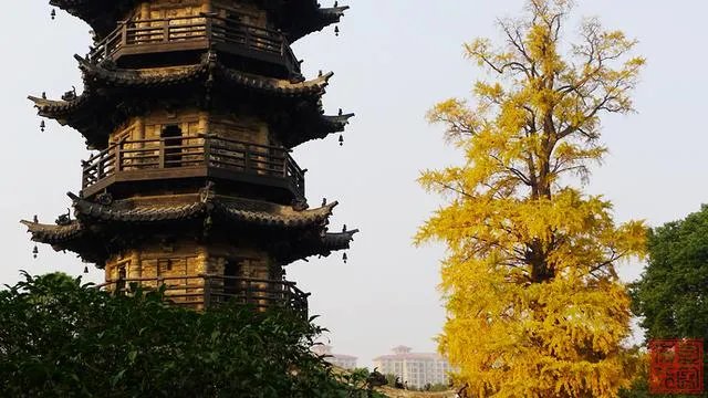 谁能介绍一下常熟梅李的聚沙塔？