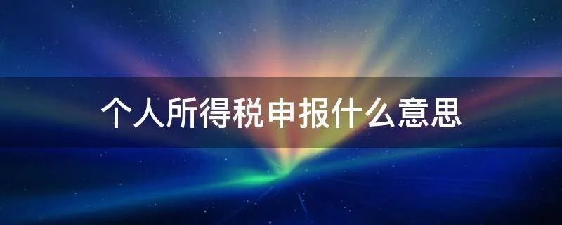 个人所得税申报什么意思