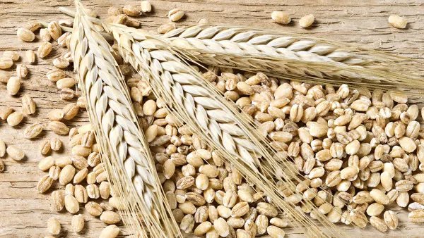 调理肠胃的食物