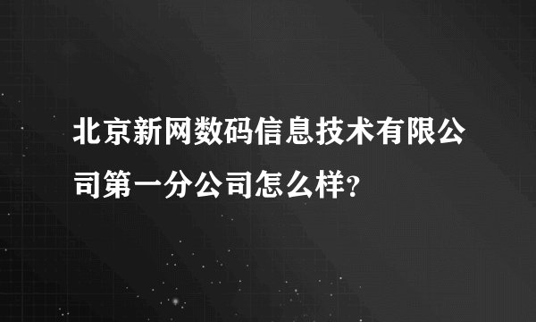 北京新网数码信息技术有限公司第一分公司怎么样？