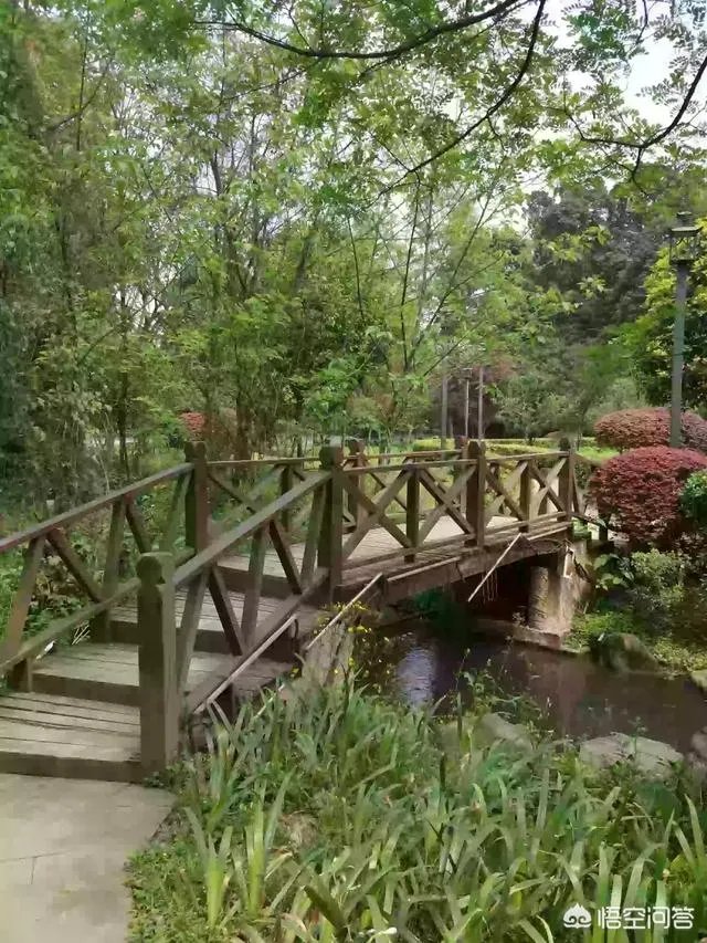 都江堰青城山周边一日游，该怎么安排？