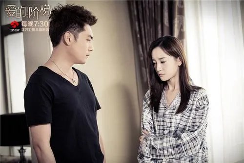爱的阶梯的介绍