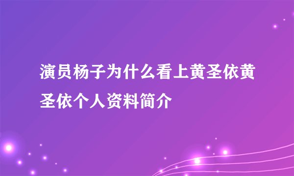 演员杨子为什么看上黄圣依黄圣依个人资料简介