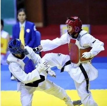 侯玉琢的个人简历