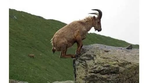 千钧一发的反义词