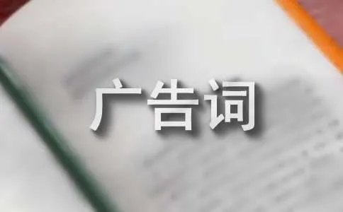 海飞丝广告词