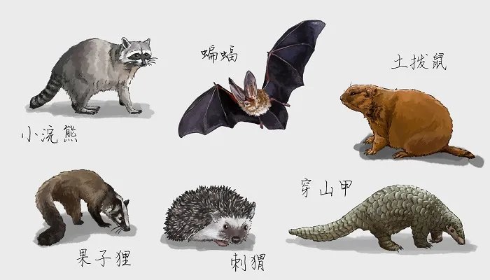 建筑上雕刻蝙蝠的寓意