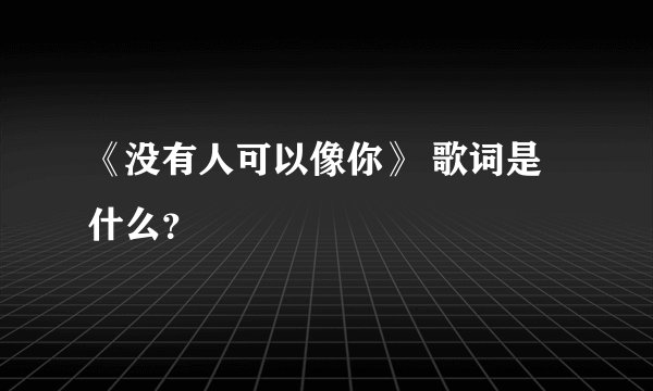 《没有人可以像你》 歌词是什么？