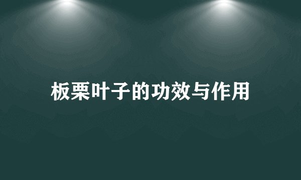 板栗叶子的功效与作用