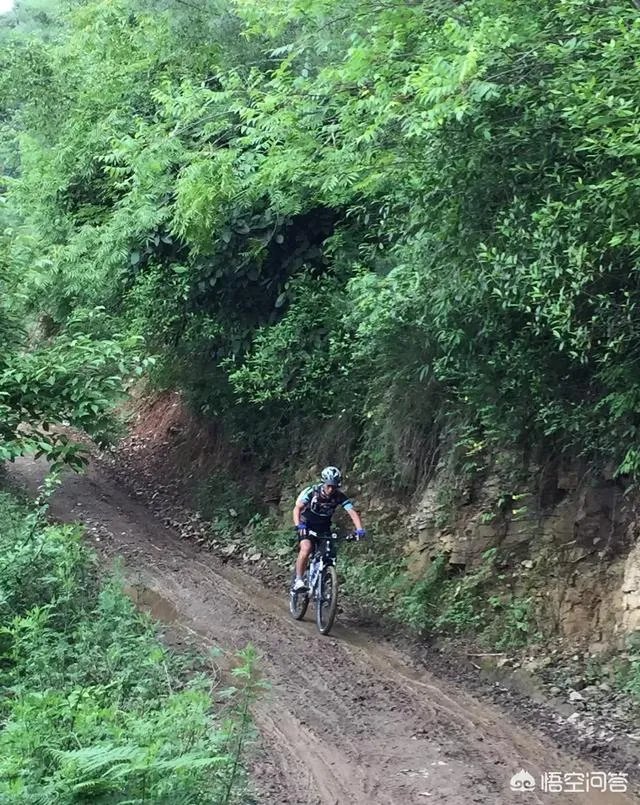 捷安特自行车和永久自行车哪个性价比更高？