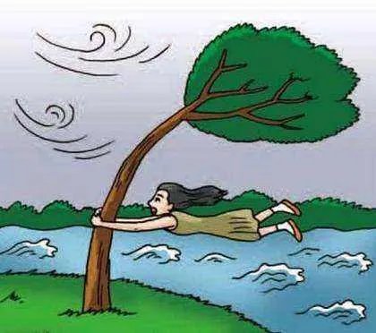 强风是风力几级的风