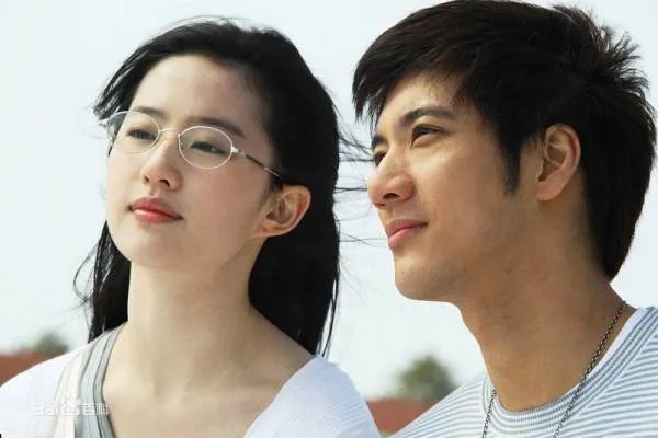 王力宏和刘亦菲主演的电影