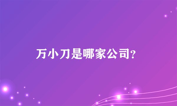 万小刀是哪家公司？