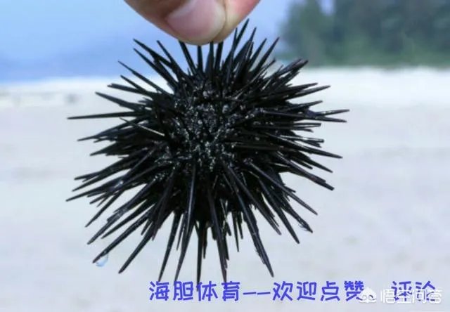 没有福特森，浙江广厦真的这么不堪一击吗？