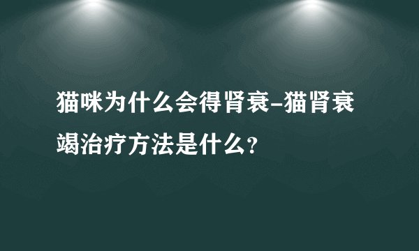 猫咪为什么会得肾衰-猫肾衰竭治疗方法是什么？