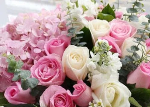 18朵玫瑰花代表什么意思 不同颜色的玫瑰花代表什么意思