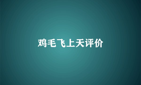 鸡毛飞上天评价