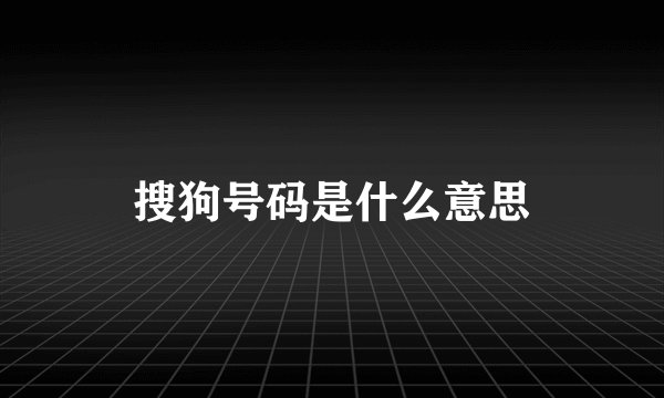 搜狗号码是什么意思