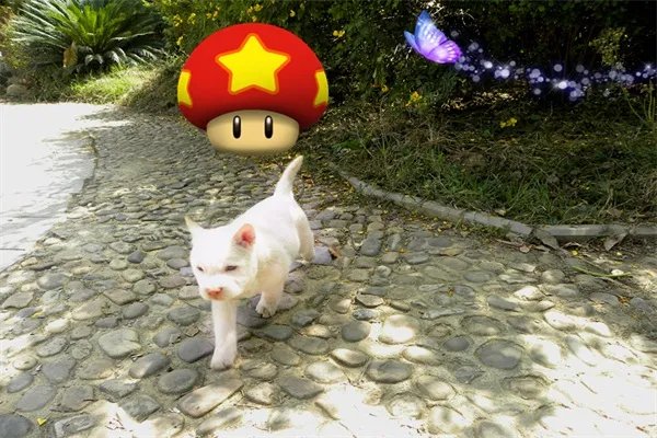 中国十大名犬都是什么？