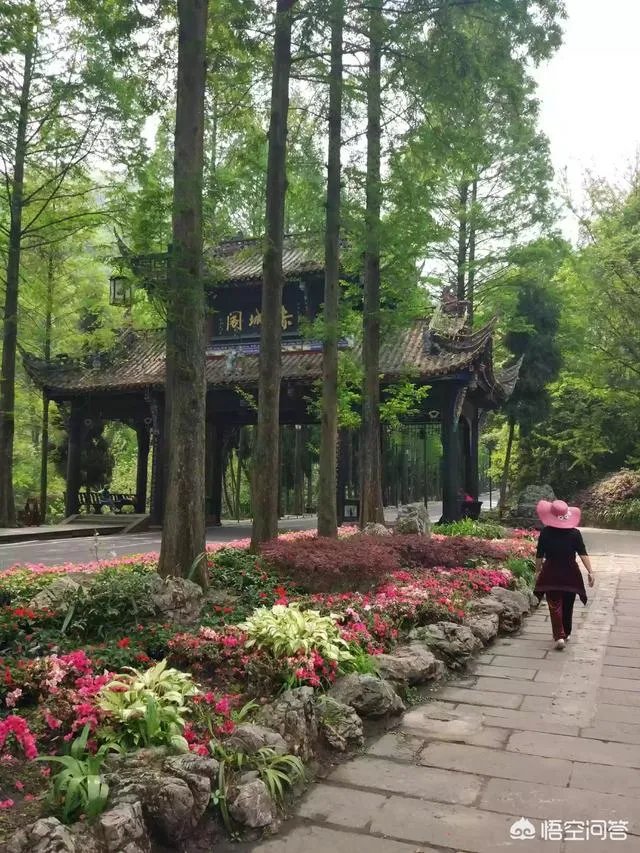 都江堰青城山周边一日游，该怎么安排？