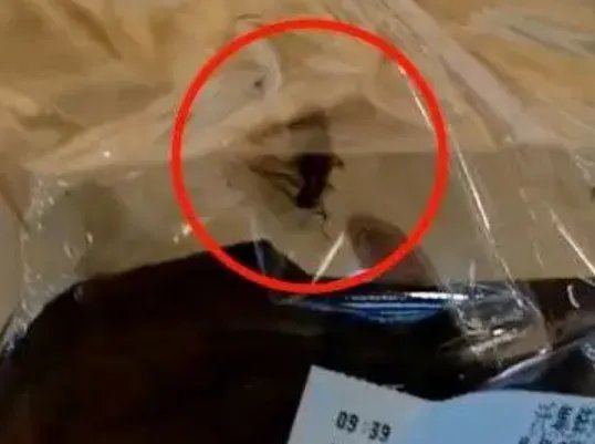 顾客发现沃尔玛面包上“蟑螂活蹦乱跳”，这种情况若被举报，会被怎么罚？