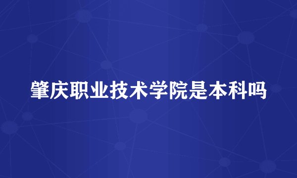 肇庆职业技术学院是本科吗