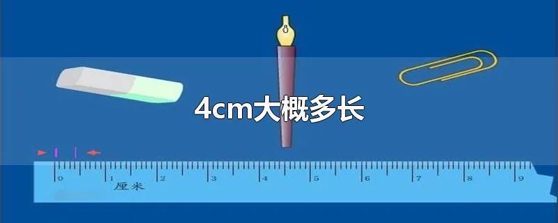 4cm大概多长