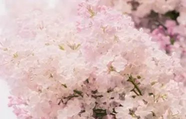 有没有一些好听又流行的网络歌曲啊？