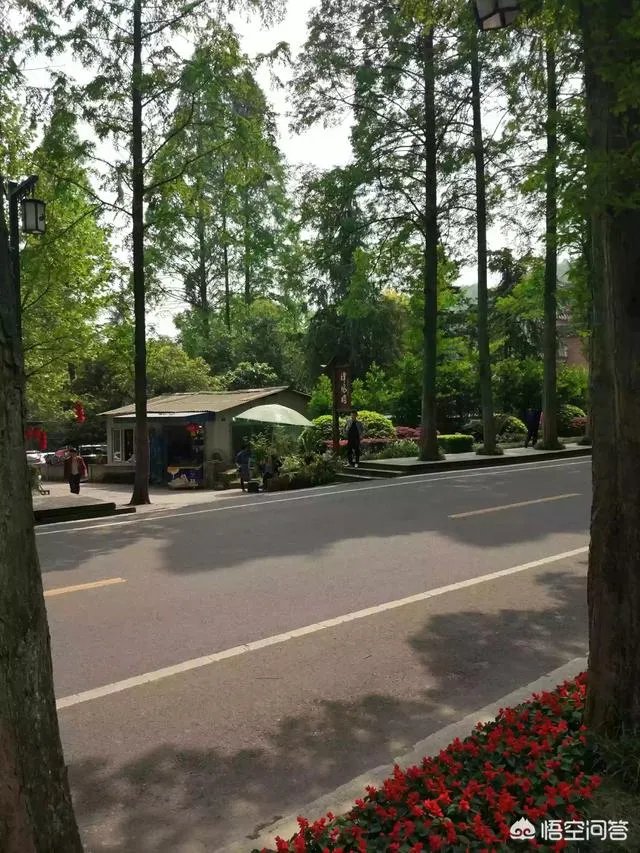 都江堰青城山周边一日游，该怎么安排？