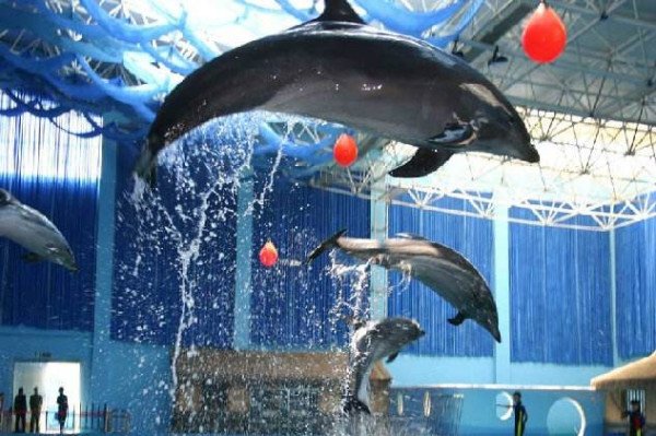 烟台自驾游比较好玩的地方有哪些啊