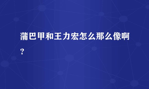 蒲巴甲和王力宏怎么那么像啊？
