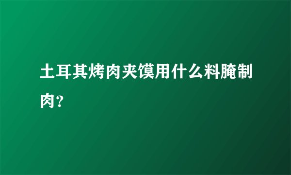 土耳其烤肉夹馍用什么料腌制肉？